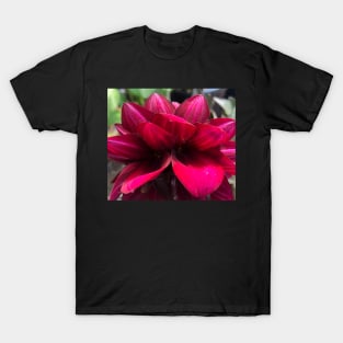 The Radiant Magenta Lotus - Empowered, Joyful and Balanced! T-Shirt